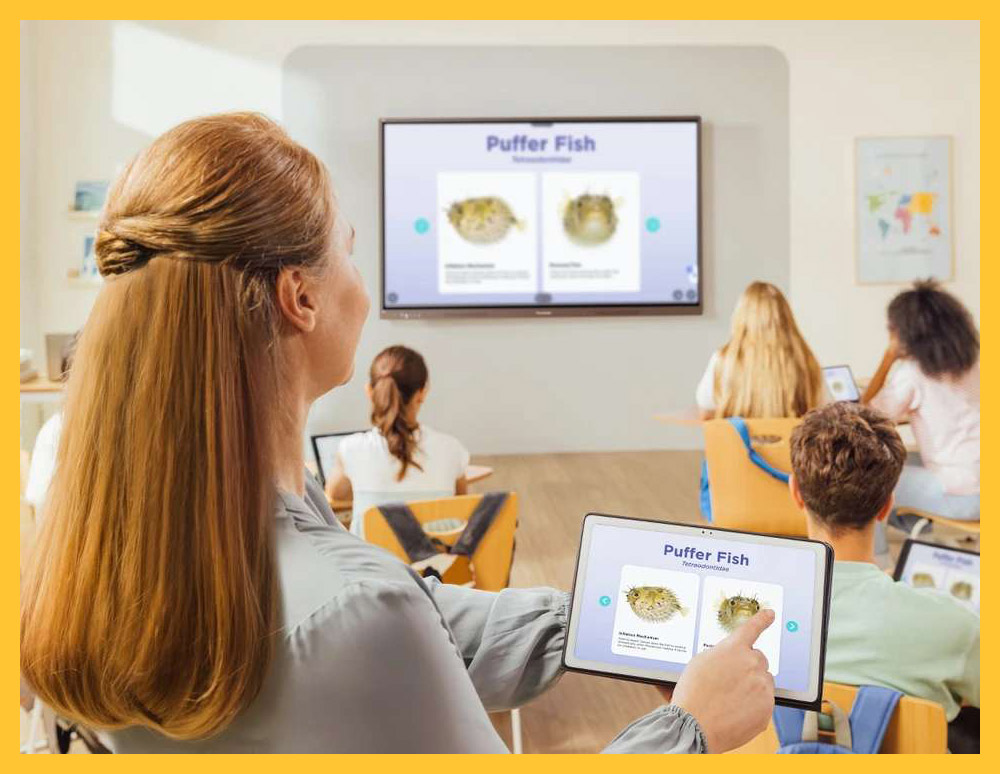 Top 5 Màn Hình Tương Tác ViewSonic Cho Trung Tâm Ngoại Ngữ, Giúp Lớp Học Sinh Động, Học Viên Hứng Thú Và Giáo Viên Dạy Hiệu Quả Hơn 